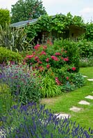 Summer border of Lavenders, Rose Campions, Grasses, Rose bush, Phormium and various shrubs with stepping stones leading to vine covered summerhouse - Open Gardens Day, Kelsale, Suffolk 