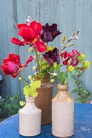 Simple spring floral arrangement of red and black tulipa and green foliage in pottery bottles