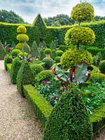 Buxus - Box - topiary and edging with clipped Ilex 'Golden King' - Holly 