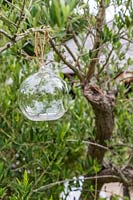 Glass tea light holder hanging from Olive branch