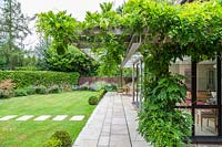 Sandstone Patio and metal and wood pergola with climbers running along house, edged with Buxus hedging, wooden chairs and table