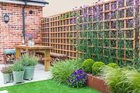 Dining furniture on patio by house, fence covered with trellis. Planter with Buxus, Verbena bonariensis and Stipa