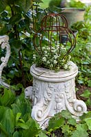 Potted vintage plinth with tiny metal frame around plant