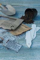 Packets of mail order seeds scattered on a shabby chic table top.