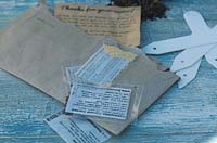 Packets of mail order seeds scattered on a shabby chic table top.
