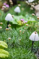 Armeria with mushroom lights