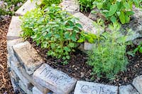 Names of herbs scatched into bricks in herb spiral