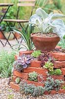 Overview of finished succulent tower topped with Senecio 'Angel Wings'