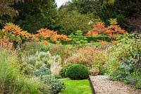 Mound topped by Rhus typhina and surrounded by shrubs including salvia, phlomis, cornus and clipped box and Persicaria amplexicaulis 'Fat Domino' at the Old Vicarage, Weare in October