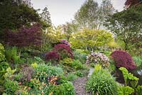 Acers, rhododendrons, ferns, geums and gunnera beside the lakein May