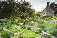 Terraces planted with roses, lavender, herbaceous perennials and shrubs in June