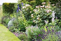 Border of roses, salvias including Salvia 'Nachtvlinder' and delphiniums 