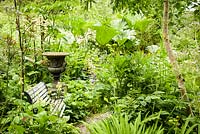 Wooden seat and urn surrounded by lush planting including Gunnera manicata, Cardiocrinum giganteum, candelabra primulas and ferns in June