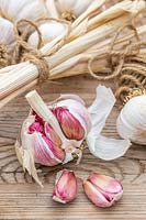 Harvested and dried Garlic 'Carcassonne Wight' with one bulb split open to show cloves and hardneck