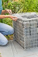 Woman using spiral helicoils to attach gabion lid to filled basket. 