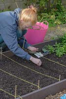 Young girl planting organic beetroot seeds in a raised bed made from recycled plastic