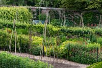 Rows of vegetables in the walled kitchen garden at West Dean. There are four large veg beds separated by a double herbaceous border and a fruit tree walk. 