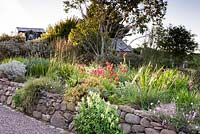 Dieramas, watsonias and restios catch the evening sunlight at a private garden on Little Loch Broom, Wester Ross, Scotland. 
