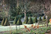 A bench on a slope above an avenue of yew pyramids at the Old Rectory, Netherbury, UK. 