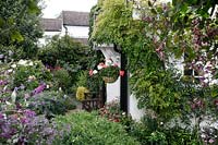 View through Clematis to back of cottage with climbing Wisteria, hanging basket of Pelargonium and rustic bench