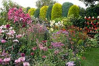 Profusion of flowers in a pink themed border, beyond mixed conifer hedge and Pelargonium theatre 