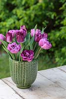 Spring arrangement in green glazed pot with mixed pink and purple Tulips