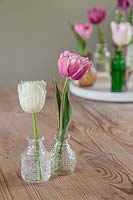 Spring floral display with single Tulips in glass vases on white tray