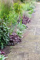 Festuca, Stachys and Heuchera planted along path - showing how to use repetition in planting scheme
