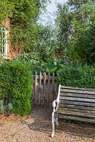 Cottage garden by house with rustic wooden side gate either side of hedge and wooden bench on gravel