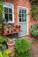 Display of succulents by back door of country cottage