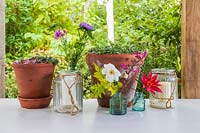 Selection of glass vases with cut flowers from the garden