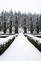 View along path of French-style parterre with Cupressus - Cypress - trees 