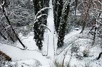 Snow-covered avenues in the garden at Giardino Giusti, Verona