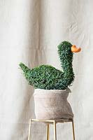Ligustrum delavayanum duck shaped topiary
