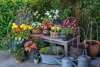Spring container display in variety of pots 
