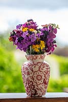 Vase of fragrant perennial wallflowers in spring.