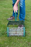 Aerating the lawn with an aerator to allow air, fertiliser and water to reach the roots
