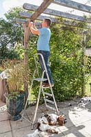 Man on ladder fixing light chain on to hooks