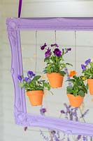 Painted purple picture frame with hanging pots of viola