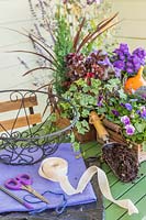 Materials and plants for creating an Autumnal hanging basket