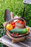 Trug with garden tools and freshly picked Tomatoes, Cucumber and Courgette.