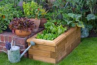 Timber raised bed planted with lettuce, tomatoes, chilli peppers and tomatoes.
