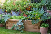 A timber raised bed planted with mixed vegetables, including lettuce, trailing Cucumber 'Bush Champion', Courgette 'Gold Rush' and dwarf Tomato 'Maskotka'.
