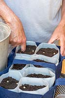 Using your index finger, push each pea seed to a depth of 5cm in the compost.