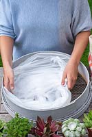 Woman lining garden sieve with plastic bin liner - double layer. Planting Succulent Sieve.  Step 2. 