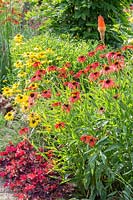 Detail of summer perennial border with Echinacea 'Leilani', Echinacea purpurea 'Tomato Soup', Heuchera 'Mahogany' and Kniphofia. 