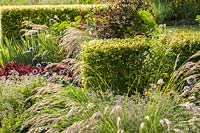 Clipped hedges contrast with free flowering ornamental grasses and perennials in this planting at Weihenstephan Trial Gardens, Munich, Germany.  
