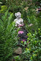 Classical style statue of woman in a shady corner next to shuttlecock ferns, Matteuccia struthiopteris, and black-leaved elder, Sambucus nigra 'Black Beauty', with viburnum behind.