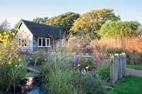 View of nursery in autumn with ornamental grasses