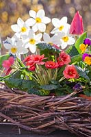 Wreath with spring flowers in pots including daffodils, pansies, primulas, and tulips.